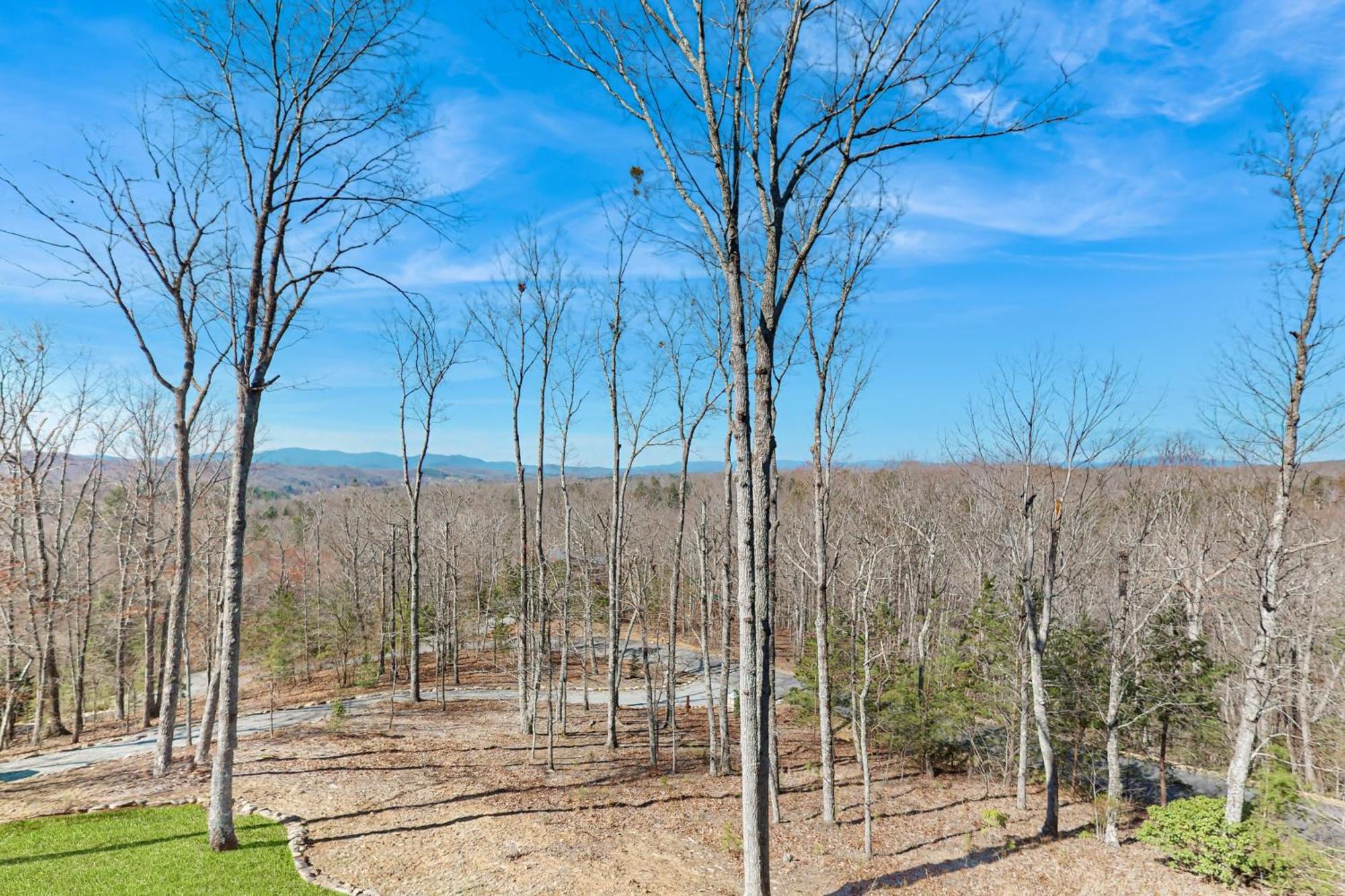 Bougie Bear Cabin Morganton Экстерьер фото